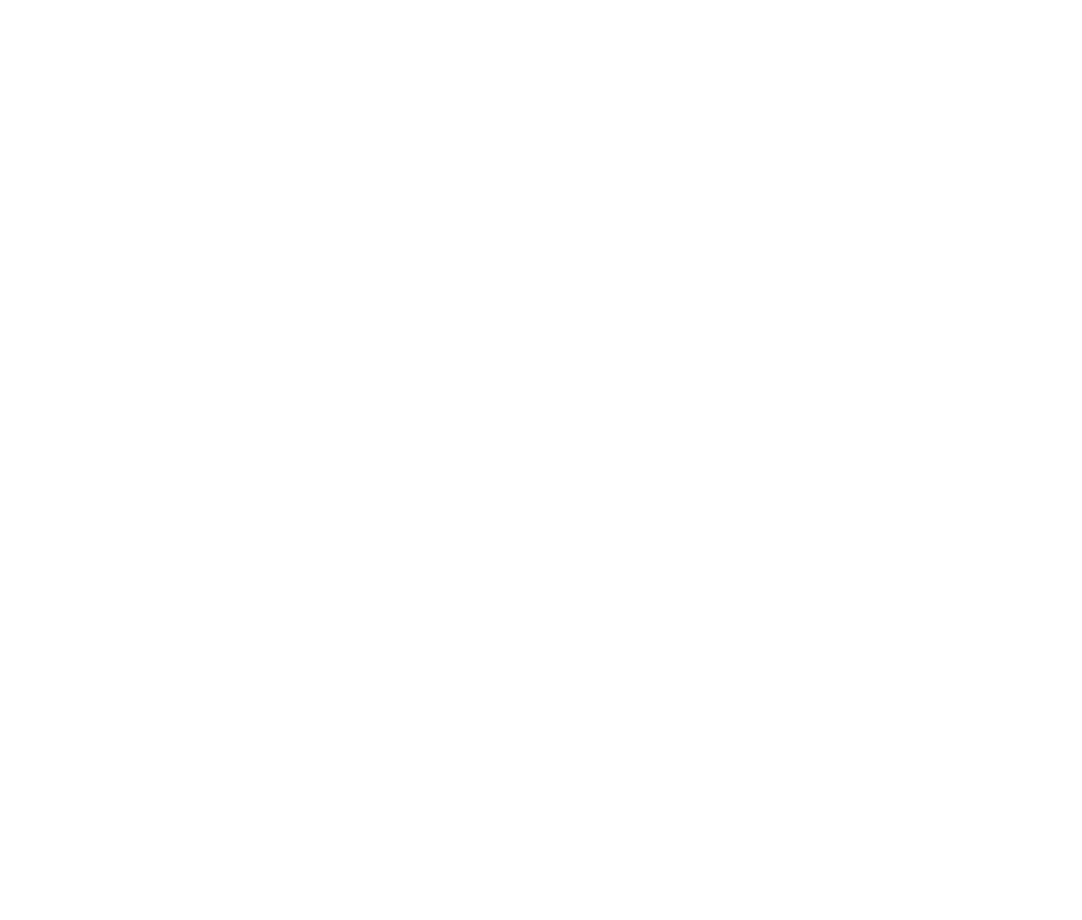 The Things Network (TTN)